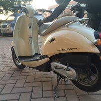 广州白云区金沙洲出售本田55期龟仔