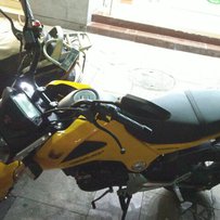 清远英德出售落地一个月 望江猴子