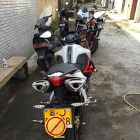 广东台山出售黄龙600