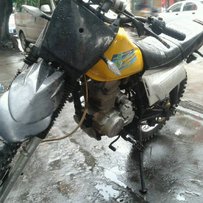 代友出售白菜降价啦