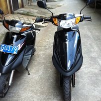 江门新会出售靓籽JOG3代