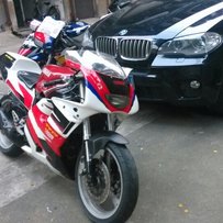 广东新会出几台车