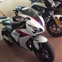 《广州番禺出12款鹦鹉》