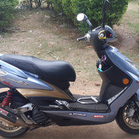 出售12年山叶劲战