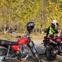 韶关出售CB919，CB400，CB400SS