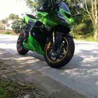 广东清远出售精神火爆05 636