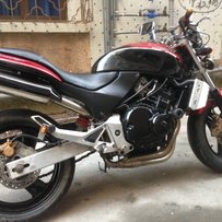 12800出售安静精神小黄蜂250.自提的来