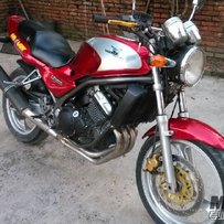 川马同CG,降价处理