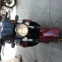 广东茂名出售X11裸鸟