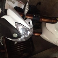 广州出台黄龙600