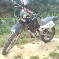 中山售鑫源爬鸡2300元