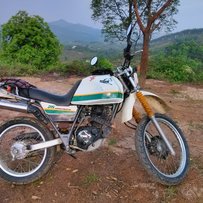 佛冈地区出售精神有力的雅马哈小鹿