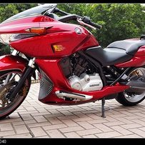 东莞岀售本田大沙鱼