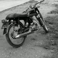 出售了 谢谢绿茵直播 删帖