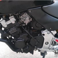 代朋友发帖出售部水水小黄蜂