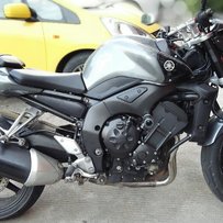 肇庆出售精神FZ1-N