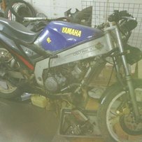 ds阿什顿爱上大声啊