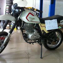 珠海出售白菜250.磨合期都没过。。。。