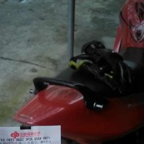 代友高明地区出本田黑鸟