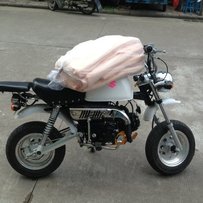 珠海出售【宗申125机头】最高配置猩猩一台