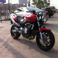 深圳 Rs250  【黄蜂已售】