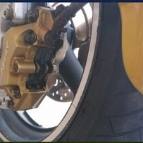 阳江市出售03黄蜂919,