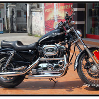 肇庆代友出售哈雷运动者XL1200