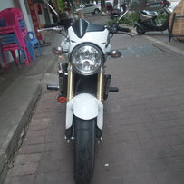 梅州股民大出血卖黄蜂600