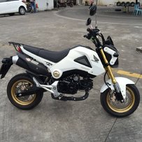 广东潮州转让MSX（猴子）一台，18888！