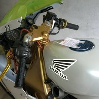 佛山高明出NSR雷鸟