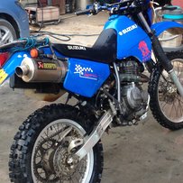 清远出售DR250扒鸡