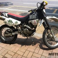 清远市区出部精神DR250扒鸡  9000接小刀