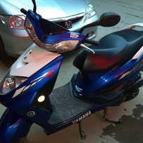 广州白云嘉禾代友出售迅鹰61拉300改件：1000元，毒蛇3合1：250