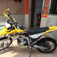 广州新塘出售鸡虫  08wr250r50周年纪念花