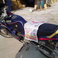 清远代友出坚牌坚证tzr150