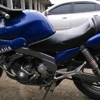 出海豚250半尸体