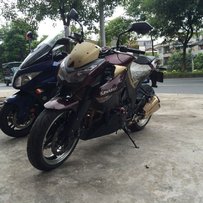 广州增城出10款Z1000