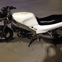 南沙区出售t仔尸体