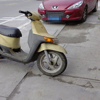 已经出售 谢谢绿茵直播