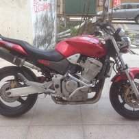 惠州市博罗县园洲镇31000元出台大蜜蜂919，接受换大羊！