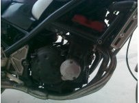 精神凌木盗匪250