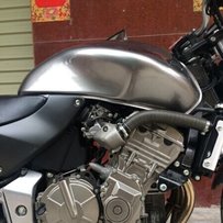 博罗县园洲自出黄蜂600