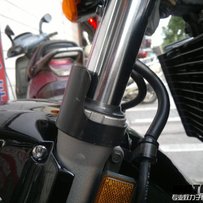 江门出售02干净精神黄蜂900