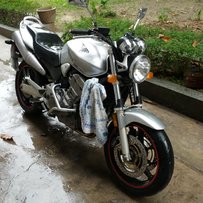 广东恩平出售02美版大黄蜂（919)