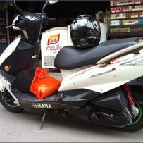 顺德出台  豪华版迅鹰