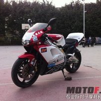 已售。。。。。。。。。。。。。。